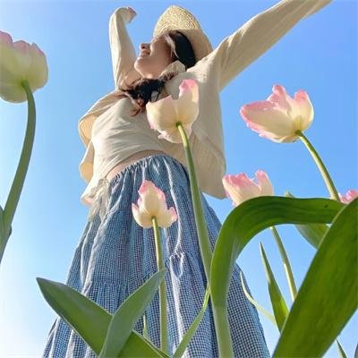 荒野五侠客